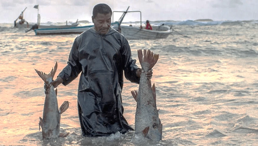 Reestablishing a Somali Fishing Industry